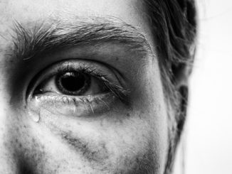 Świetlik lekarski – zastosowanie w leczeniu chorób oczu