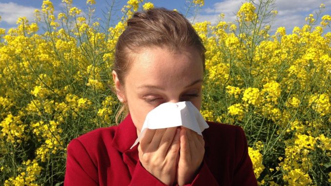 Jak radzić sobie z alergią?